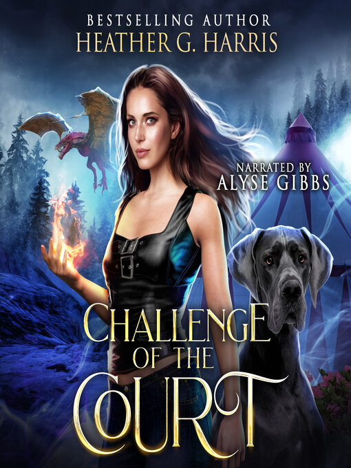 Cover image for Challenge of the Court